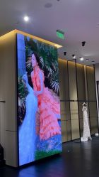 -MuseMarry婚纱(前海嘉里中心店)