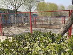 -宠物寄养训练学校