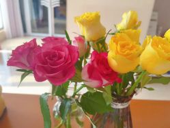 -SILKTONE诗丽堂美容