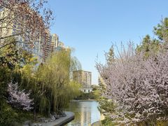 -团结湖公园