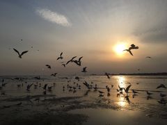 -老虎石海上公园