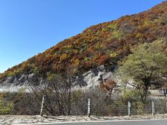 -灵山