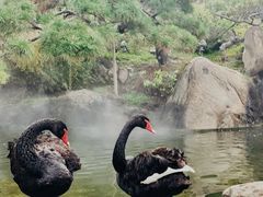 -罗红摄影艺术馆