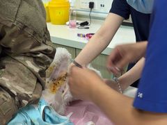 -北京观赏动物医院·24小时大型综合·猫专科·异宠专科