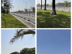 -长洲岛