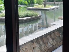 -亚龙湾希尔顿自助餐厅·海鲜·烧烤·沙滩BBQ·现场乐队