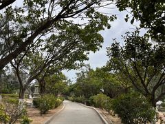 -崇武古城风景区