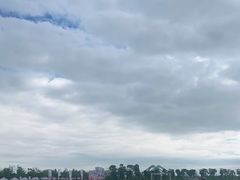 -春花秋色城市公园