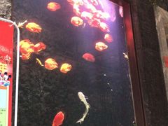 -弘安丽水温泉酒店