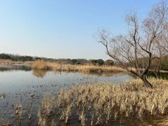 -同里国家湿地公园