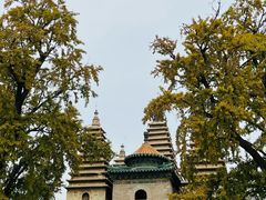 -北京石刻艺术博物馆(五塔寺)