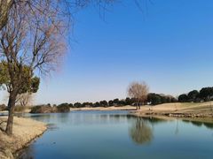 -滨海高尔夫俱乐部