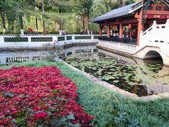 -广东花都湖国家湿地公园