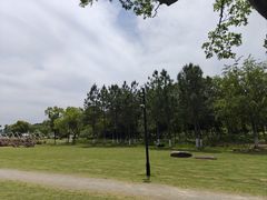 -径山花海