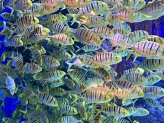 -成都浩海立方海洋公园