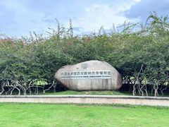 -中国科学院西双版纳热带植物园