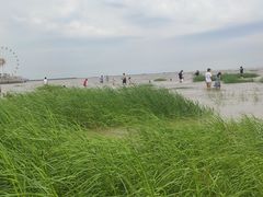 -奉贤海滩