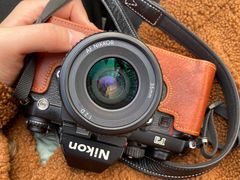 -合肥滨湖国家森林公园