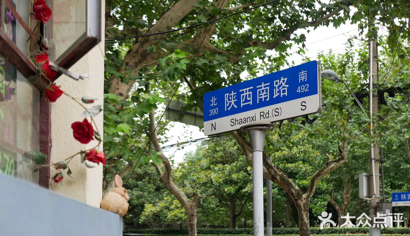 窗台上的小确幸🐇🦉🐌🌿🌹
