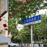 窗台上的小确幸🐇🦉🐌🌿🌹