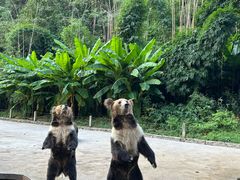 -贵州森林野生动物园