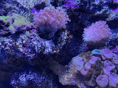 -大连老虎滩海洋公园