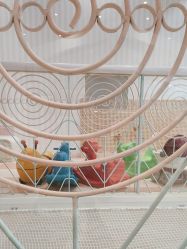 -奈尔宝·儿童乐园·亲子餐厅(华采天地店)