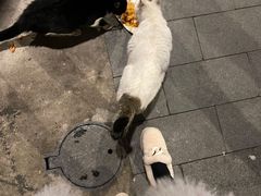 -C&R西班牙餐厅