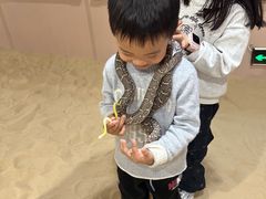 -厦门园林博览苑