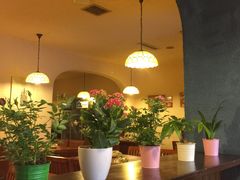 -绝城芋儿鸡(犀浦旗舰店)