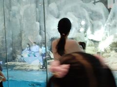 -帝企鹅自助餐厅•儿童岛•真企鹅(长隆企鹅酒店)