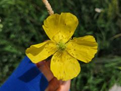 -白草畔自然风景区