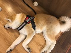 -YCHL Studios健身工作室(市二宫店)
