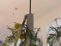 -春树下·树屋花房西餐厅(罍街AS1980店)