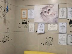 -谐和益家动物医院·免疫绝育·血液透析·宠保定点医院(高新伊藤分院)
