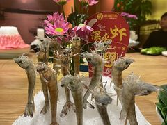 -尚海豆捞(乐虹坊店)