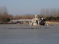 -大兴滨河森林公园