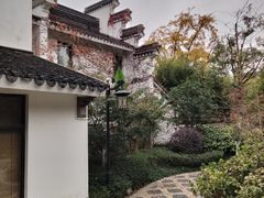 -上海共青森林公园