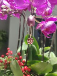 -钻石小鸟钻戒婚戒定制(石路店)