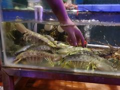 巨型皮皮虾-辉记炭烧海鲜大排档·老字号(福田店)