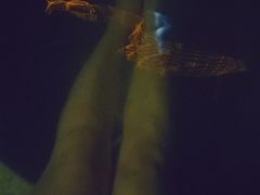 -咸宁万豪温泉谷度假区