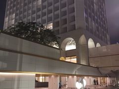 -尼依格罗香港美利酒店