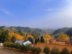 -遵化市禅林寺古银杏风景园