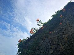 -乌石村