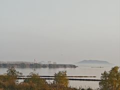 -合肥滨湖国家森林公园