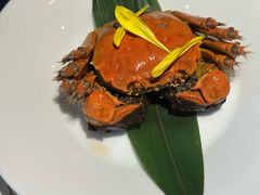 -觀芷隐轩