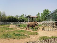 -西安秦岭野生动物园