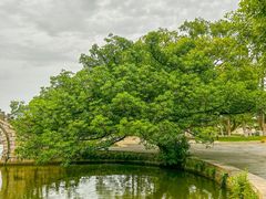 -江心屿景区