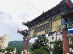 -后柳水乡