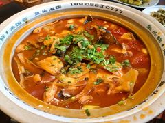 太平湖有机胖头鱼-魏铭鱼头捞饭(晋阳路店)